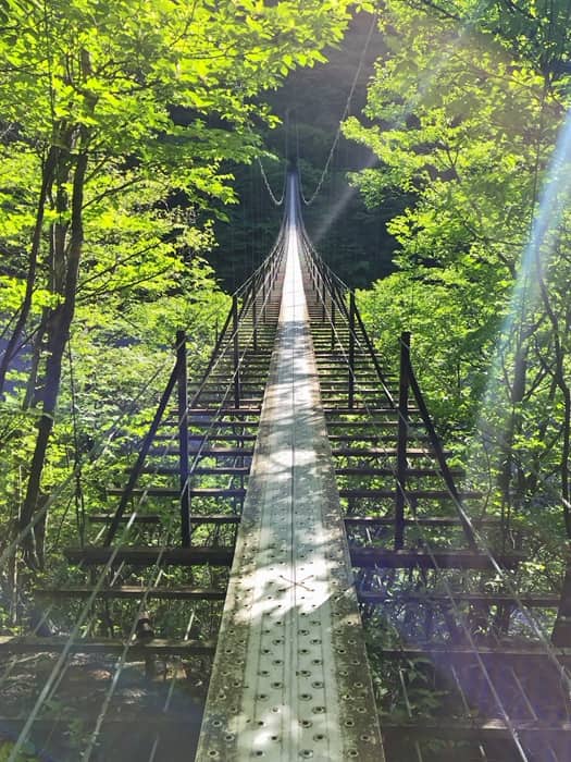 畑薙大吊橋