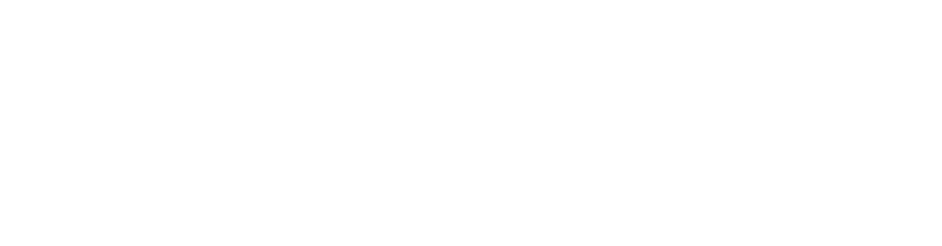 MINAMI - ALPS Mirai Foundation
